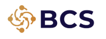 BCS Business Complex System (Mandi e Cadu) - LOGO